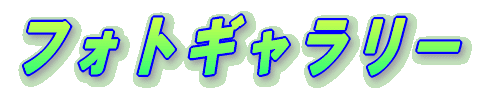 �L�����vGOGO�I 